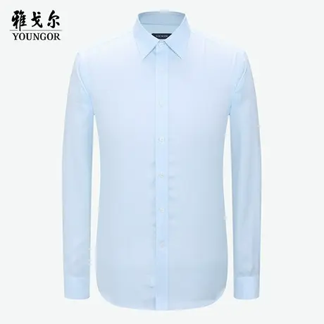 雅戈尔奥莱 商场同款男士长袖衬衫秋季新款官方商务休闲免烫衬衣图片