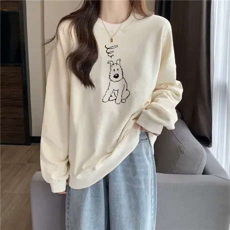 2024新款爆款无帽卫衣女秋冬加绒加厚宽松百搭圆领上衣外套ins潮商品大图