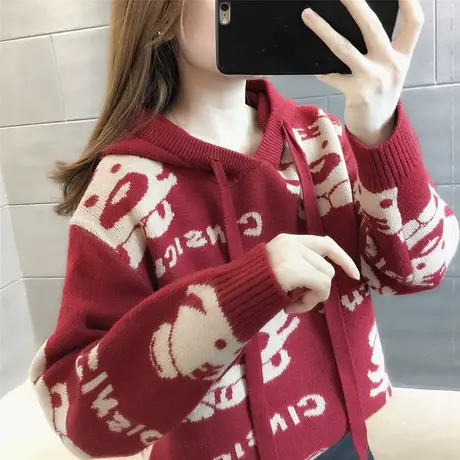 红色毛衣春款女装2023年新款上衣时尚洋气宽松针织卫衣女连帽外套图片