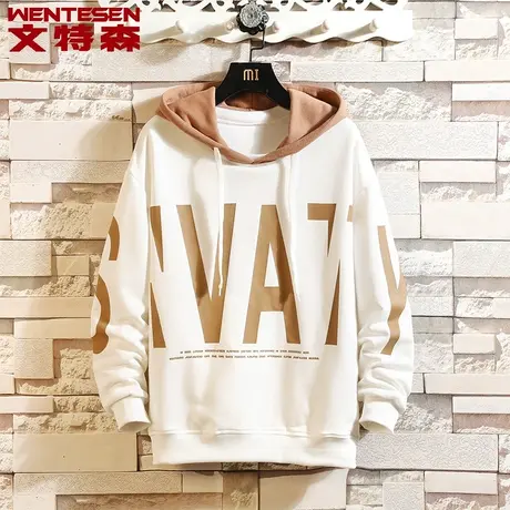 春秋款男士连帽卫衣韩版潮流宽松秋季百搭青年长袖套头上衣打底衫商品大图