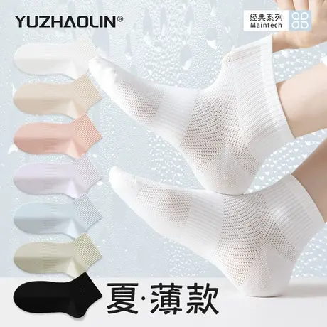 白色袜子女短袜夏季薄款网眼纯棉无骨中筒袜2025新款爆款短筒袜女商品大图