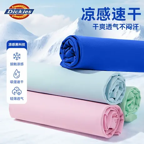 Dickies童装儿童短袖t恤男童夏季凉感速干半袖女孩夏款轻薄体恤A商品大图