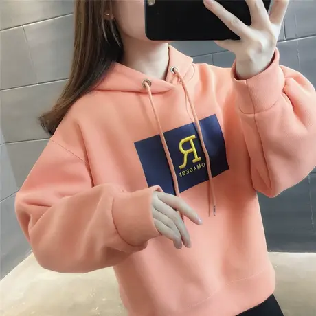 连帽卫衣春季新款2023新款上衣女士百搭洋气显白气质长袖外套学生图片