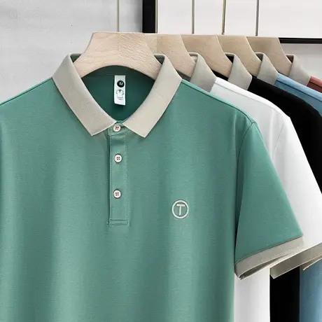 商务丝光polo衫短袖男士立体绣花翻领T恤夏季2023新款保罗衫上衣商品大图