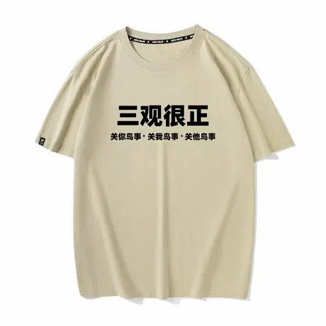 秀洛恶搞文字三观很正痛衣夏季新款纯棉圆领短袖情侣装半袖T恤男商品大图