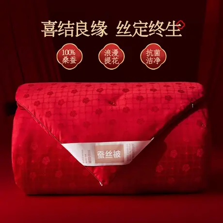 恒源祥婚庆抗菌100桑蚕丝被芯提花四季双人陪嫁婚礼结婚秋冬被子商品大图