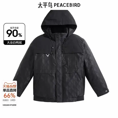 太平鸟男装宽松保暖运动冬季新款羽绒服 B1ACD4345商品大图