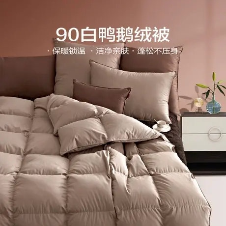 恒源祥新款羽绒被90白鸭绒柔软蓄热加厚冬被春秋被单双人被商品大图