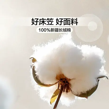 富安娜赛娜超细纤维枕2只装图片