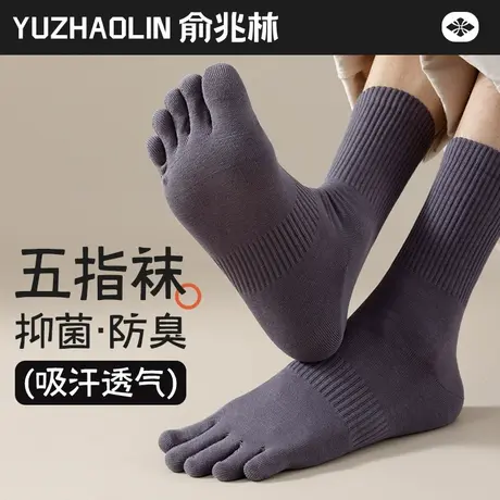 五指袜子男士中筒袜春秋款纯棉吸汗防臭长筒秋冬季男生长袜分趾袜商品大图
