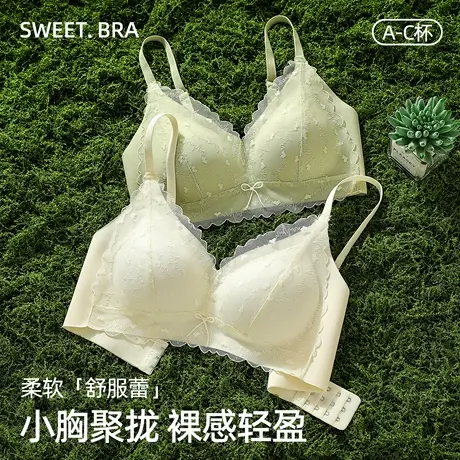 猫人小胸聚拢内衣女法式性感甜美蕾丝提拉软支撑收副乳无痕文胸罩商品大图
