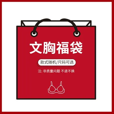 奥维丝丽福袋文胸聚拢上托调整型胸罩收副乳商品大图