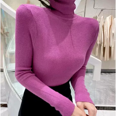 微透高领打底衫女秋冬薄款针织上衣内搭紧身显瘦百搭网红长袖t恤图片