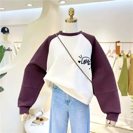 短款百搭2023春秋复古刺绣拼接撞色宽松显瘦圆领插肩卫衣女外套潮图片