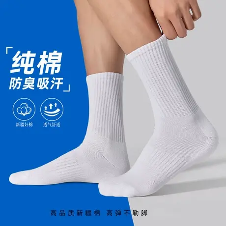 TEDELON/太子龙男士短款袜子纯棉透气防臭吸汗纯色袜子颜色随机商品大图
