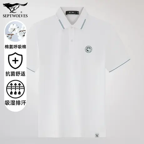 七匹狼狼族生活2023夏季新款男士POLO衫商务休闲都市时尚百搭有型图片