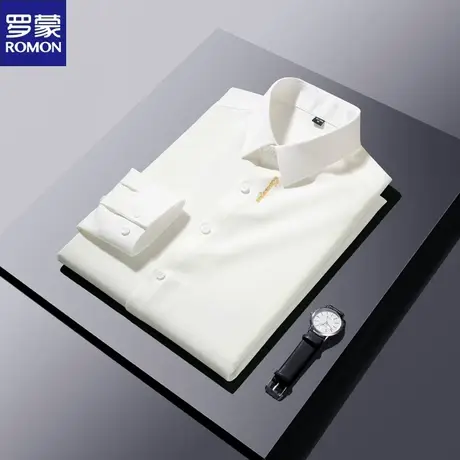 罗蒙无痕长袖衬衫男金色刺绣中青年商务休闲免烫弹力透气时尚衬衣图片