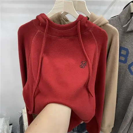 欧货连帽德绒加厚卫衣女2022秋冬新款长袖百搭保暖内搭休闲上衣潮图片