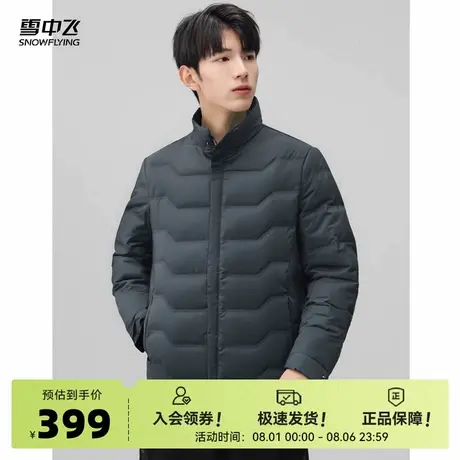 雪中飞2025秋新款鸭绒填充舒适冬季商务休闲波浪纹立领男羽绒服W商品大图