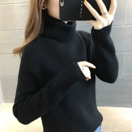 毛衣2024新款春秋季春款春装女士高领加绒女装宽松外穿打底衫洋气商品大图