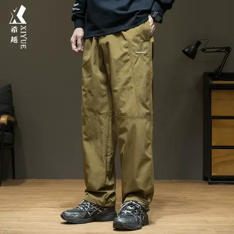 希越防水美式休闲直筒裤秋冬季宽松大码加绒加厚男士拖地工装裤子商品大图