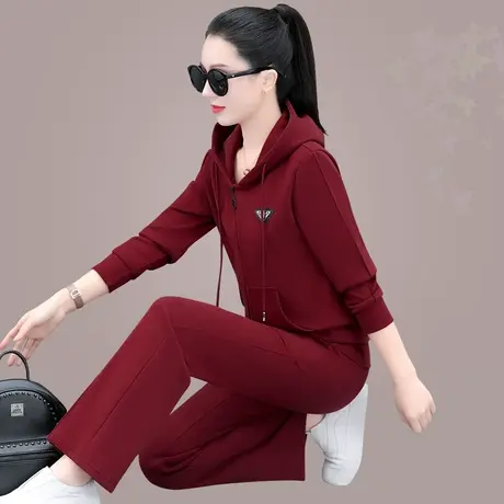 休闲连帽运动卫衣套装女春秋2023年新款藏肉显瘦阔腿裤洋气两件套商品大图