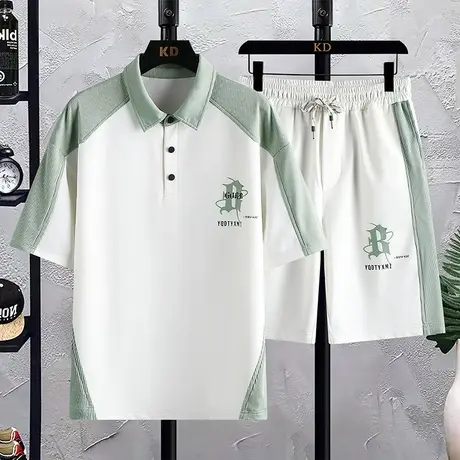 polo衫短袖套装男夏季翻领t恤男高级感休闲运动一套搭配帅气衣服图片