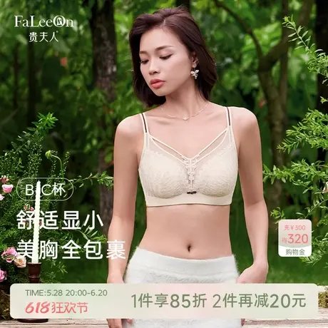 【假日遐想】贵夫人蚕丝超薄蕾丝内衣大胸显小防下垂提托文胸1230商品大图