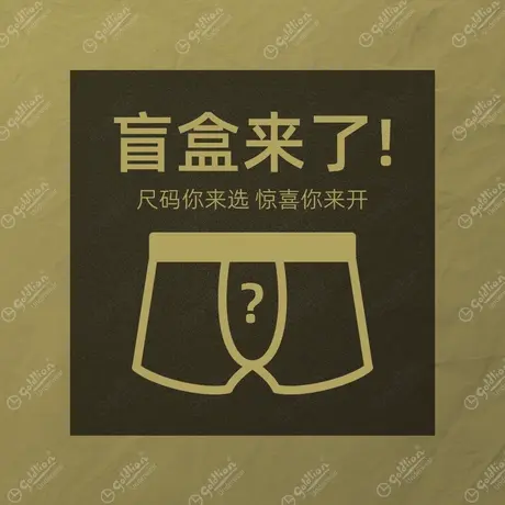 【入会领福利】金利来男士内裤盲盒L码*1条图片