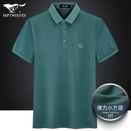 七匹狼狼族生活弹力舒适短袖T恤男2023夏季商务小方翻领Polo体恤商品大图