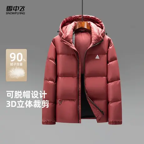 雪中飞2025冬新款羽绒服男士户外休闲百搭运动时尚面包服保暖商品大图