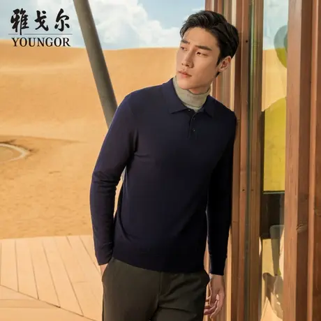 雅戈尔奥莱 23秋冬新款纯色男士含羊绒毛衫商务休闲保暖长袖polo图片