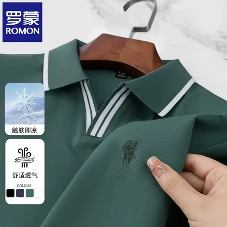 罗蒙夏季薄款POLO衫男士V领短袖T恤休闲商务中年翻领半袖上衣N2Z图片