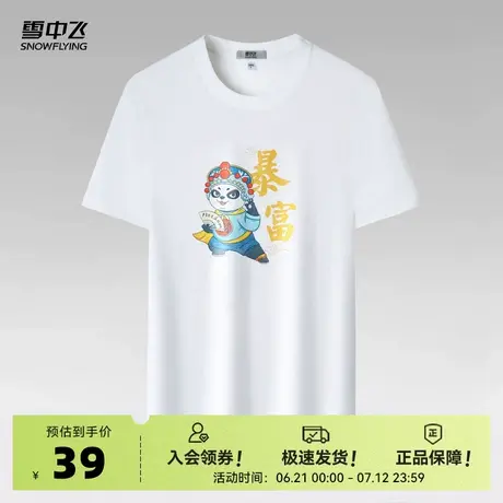 雪中飞2025夏新款男士经典纯棉T恤纯色夏季户外运动上衣暴富印花商品大图