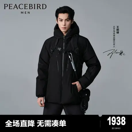 【王鹤棣同款】太平鸟男装 2023年冬季新款连帽羽绒服男B2ACD4410商品大图