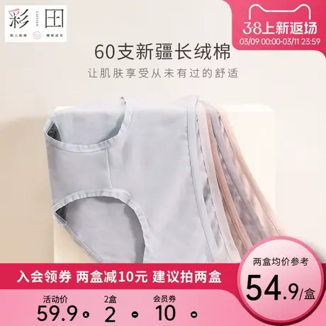 彩田内裤女7A抗菌底裆透气中腰少女高腰弹力夏季棉质女士内裤底裤图片
