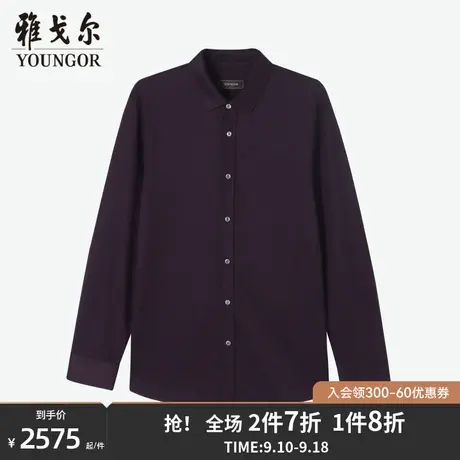 【商场同款】雅戈尔男士长袖衬衫秋季新款官方商务休闲男衬S3683商品大图