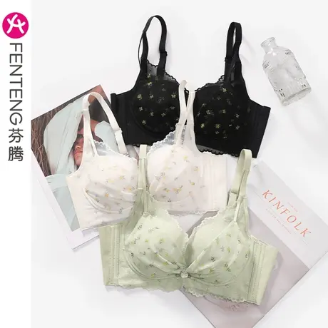 芬腾女士文胸上托防下垂小胸聚拢性感蕾丝网纱无钢圈胸罩少女内衣商品大图