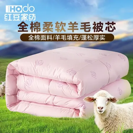 红豆100%澳洲羊毛保暖全棉被芯冬被加厚春秋被单双人家用被子S商品大图