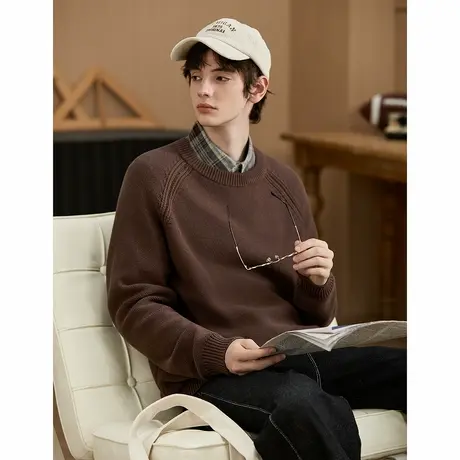 唐狮新款秋季毛衣男圆领插肩袖粗肌理慵懒风宽松休闲毛线衫TMTA图片