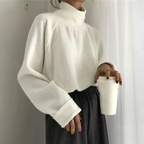 半高领磨毛打底衫女秋冬内搭韩系设计感小众长袖T恤保暖宽松上衣图片