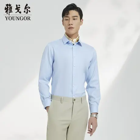 【抗菌衬衫】V系雅戈尔衬衫秋季商务纯棉易烫长袖衬衫男商品大图