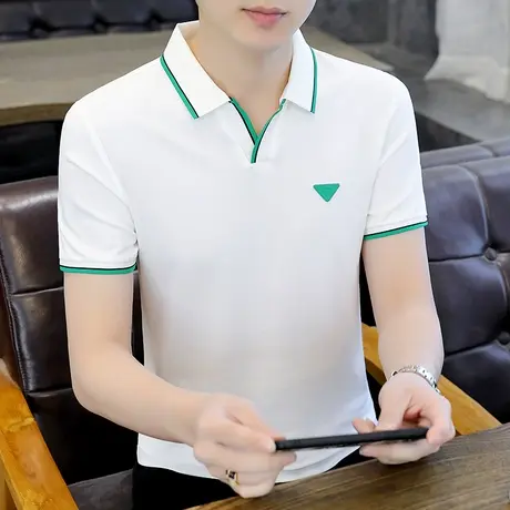 男士夏季短袖polo衫潮流时尚简约百搭V领t恤高级感翻领保罗衫上衣商品大图