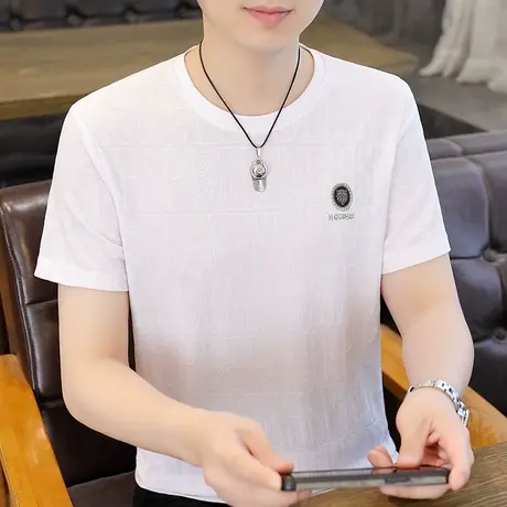 2023年t恤男夏季冰丝刺绣短袖体恤男士高端半袖圆领潮流上衣百搭商品大图