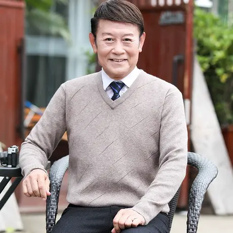 中年男士毛衣V领爸爸装套头内穿搭针织打底衫老人加厚保暖上衣服商品大图