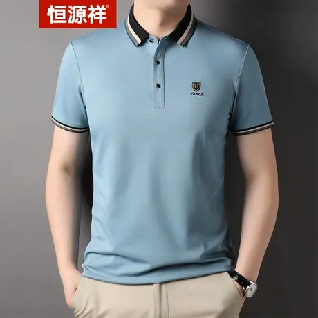 恒源祥男士短袖时尚纯色中青年刺绣男士夏季短袖男装棉质polo男衫商品大图