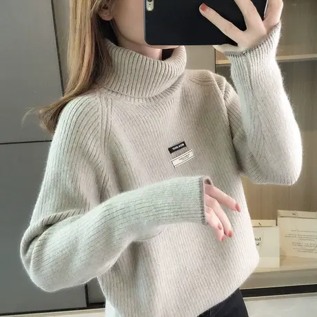 高领毛衣女士打底衫秋冬新款加厚套头针织衫宽松内搭慵懒风商品大图