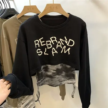 字母印花长袖卫衣女2023年早秋新款设计感小众假两件短款别致上衣商品大图