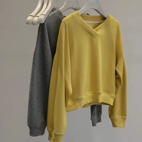 V领套头长袖卫衣女秋季2023新款薄款百搭宽松显瘦小个子无帽上衣图片