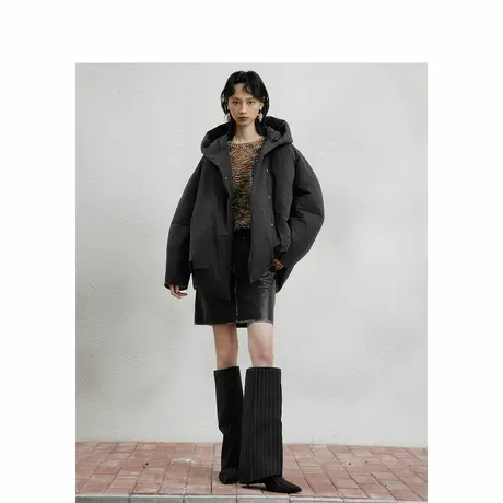子苞米冬季新款连帽立领短款时尚百搭女式羽绒服商品大图